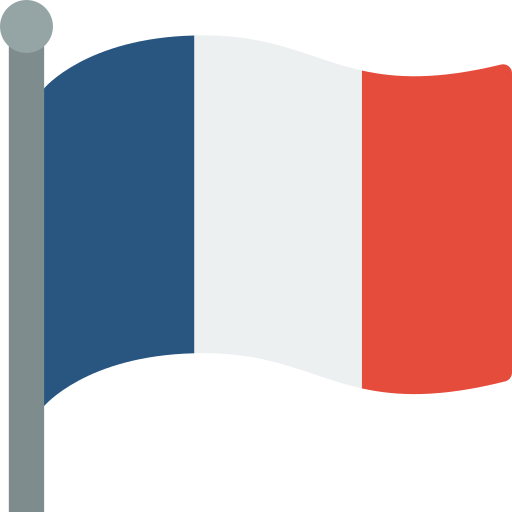 French flag icon